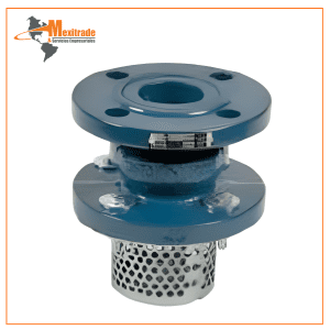 Válvula de Retención Pie TF-FV-F con Filtro – Brida DIN PN16 DN65